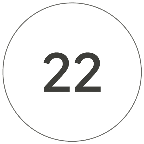 22cm