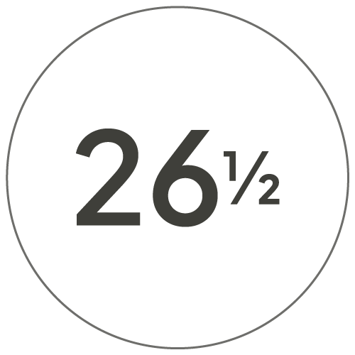 26cm