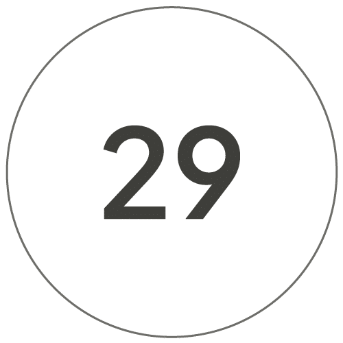 29cm