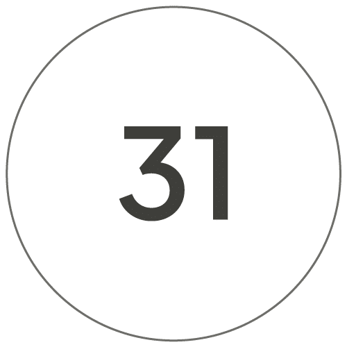 31cm
