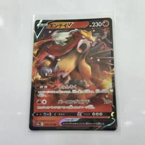 Entei V - Asia