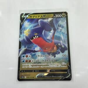 Garchamp V - Asia