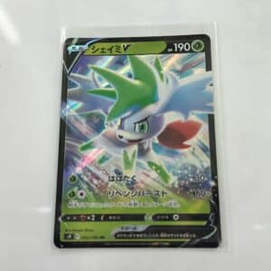 Shaymin V V Asia