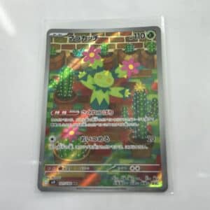 Maractus Art Rare - Asia